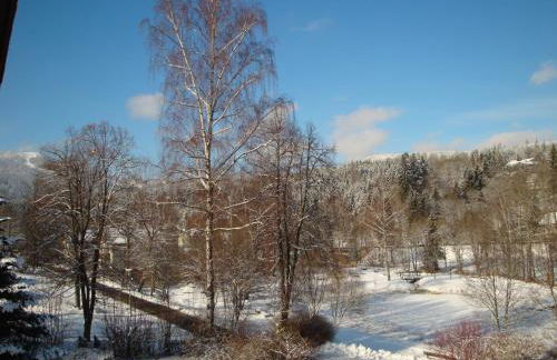 Apartments Josef Seitz - Foto 32