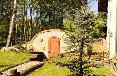 Leśna Polana - Foto 73