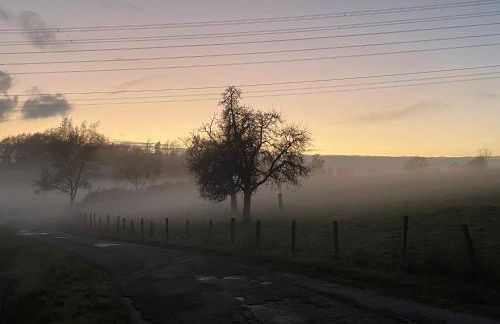 Ferienwohnung Annika - Foto 43