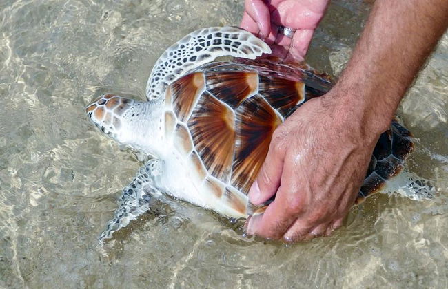 Khao Lak Full Day Tour: Sarasin Bridge, Khao Lak National Park & Lampi Waterfall from Phuket - Foto 5