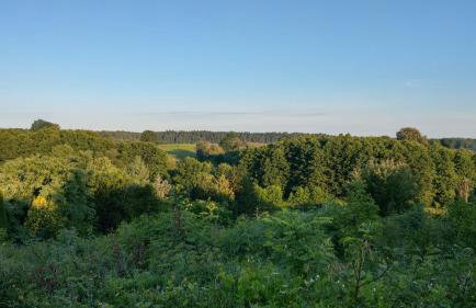 Przystanek Bajka w Puszczy Zielonce - Foto 22
