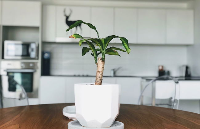 Staying Places - The Avenue - Foto 6