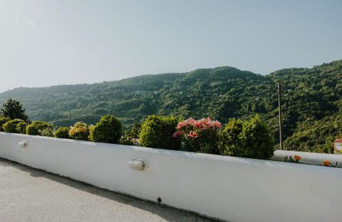 House of Gardenia - Foto 70