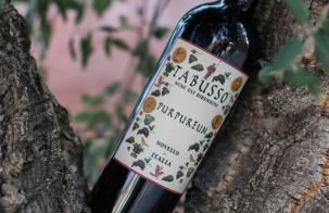 Villa Anselma - Foto 29