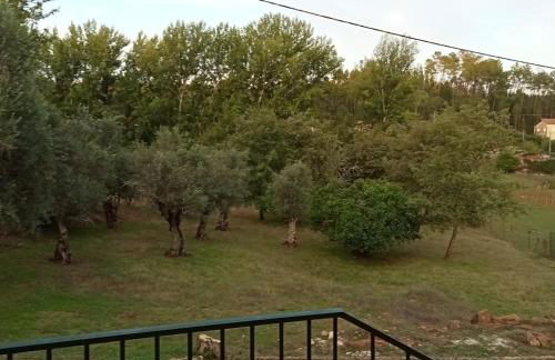 Alojamento Local - Casa Amarela - Foto 33