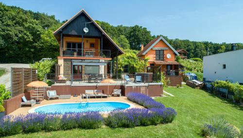 Juras Country House, bazen, sauna ,hot tube,vrt - Foto 4