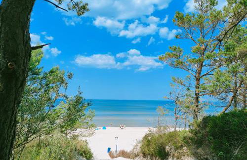 Słońce i Woda Domki Całoroczne, Podgrzewany Basen, Balia z jacuzzi, Klimatyzacja, Bezpłatny Parking - Foto 56