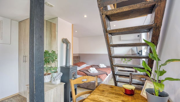 Spa Apartment Tinca - Foto 5, Quarto