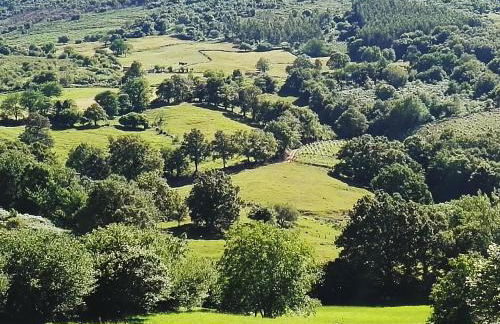 Finca Artienza - Foto 42