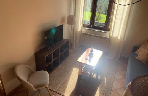 Escuelas de collía B AT-1537-AS - Photo 9