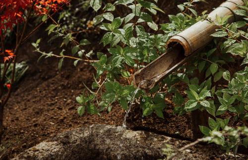 Casa de Covés - Photo 33