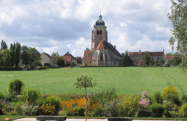 Château de Ribourdin - Foto 44