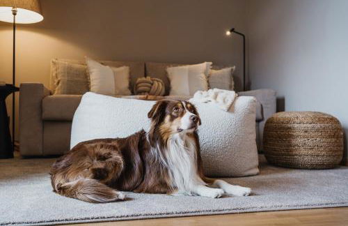 meralino boutique apartment - Photo 13