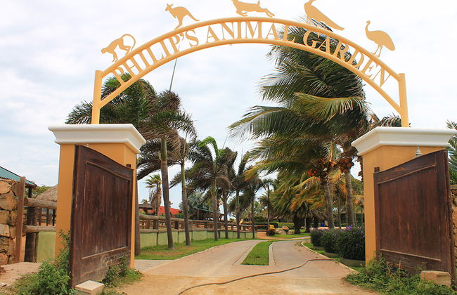 Aruba Fauna Tour - Foto 1