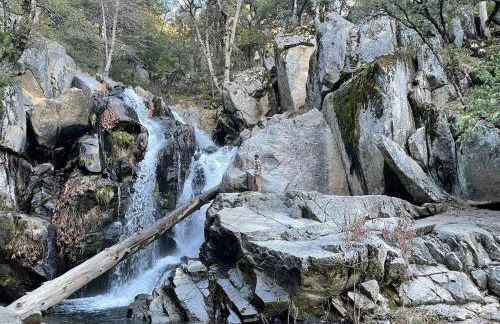 La Dolce Villa Pond Retreat in Yosemite - Foto 30