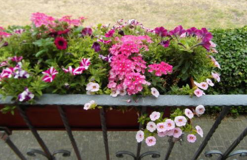 Ferienwohnung Borchert - Foto 30