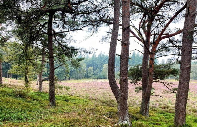 Getaway With Garden in Gelderland - Foto 37