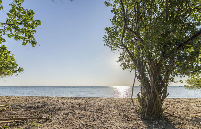 Cashew Cashew Villa - Photo 27