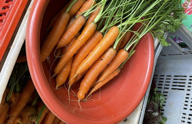 Casagon Alves in Gon Alves - Foto 9