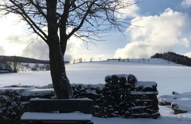 Ferienwohnung Haus Friederike ab 6 Übernachtungen, inclusive Meine Card Plus - Foto 22