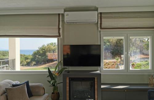 Platan Paradise - Foto 10