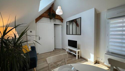 Le petit Mérinos - Rambouillet - - Foto 5