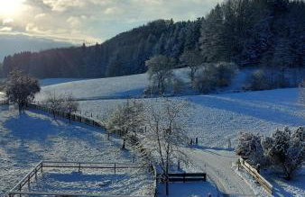 Ferienhaus auf dem Werteshof - Foto 19