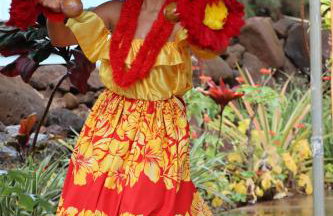 Kiahuna Plantation 96, Poipu Beach, Club Membership, Part Ocean View, Kids Toys - Foto 23