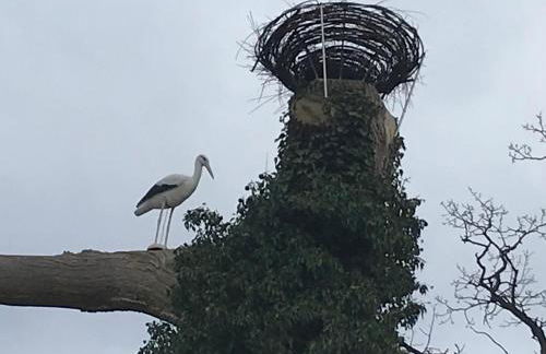 Raben Steinfeld Forststrasse Am Residence-Park - Foto 25