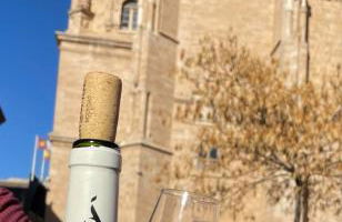 Blanco y Añil Plaza - Foto 33