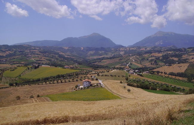 Agriturismo Il Vecchio Carro - Foto 47