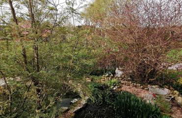 Ferienwohnung Lütje Moew - Dachterrasse und ruhige Lage - Foto 23