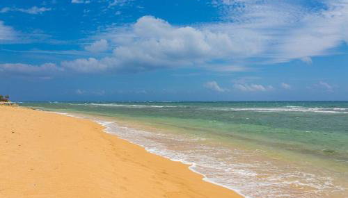 Islander Ocean Resort Condo # 166 - Foto 5