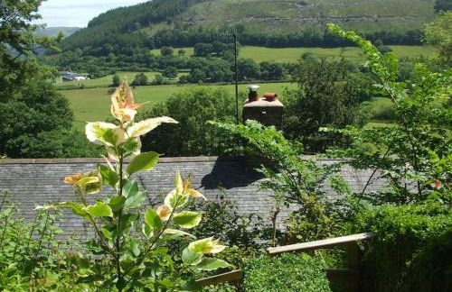 200 year old Gardener's cottage, Mid Wales - Foto 8