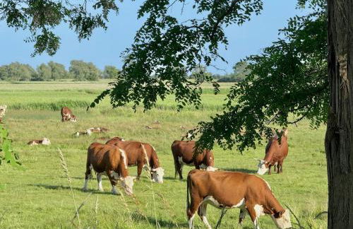 Ferienanlage "Uns Wiek Hus" Ferienwohnung 9 - Foto 21