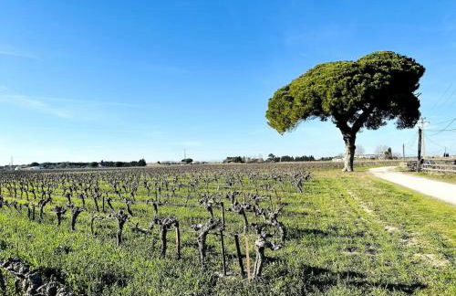 Les Appartements du Mas - Rose Marie - Foto 54