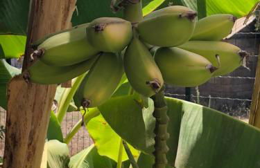 Accogliente Bilocale Linosa - Foto 39