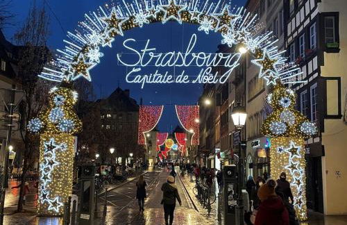 Cosy apartment on Strasbourg tramway line - Foto 44