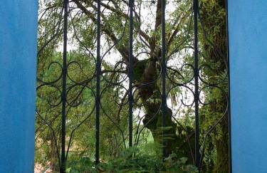 Casa dos Arrábidos - Foto 108