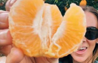 Beach Cottage - Foto 10