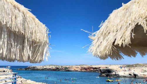 Amor di Casa - Foto 2