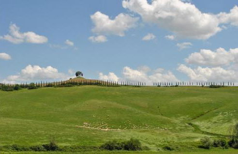 Pet Friendly Apartment In Rosia With Kitchen - Foto 16