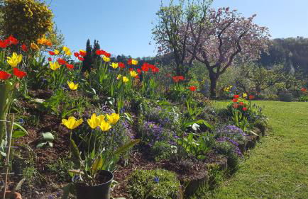 Ferienwohnung Sonneck - Foto 13