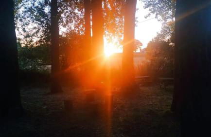 El Pinsapo Casa Rural - Foto 45