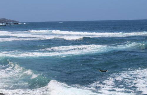 HolidaynorthTenerife Exotic Apartament - Foto 31