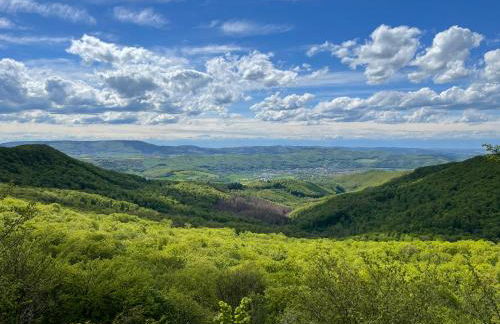 Ferienwohnung am Kalkweg - Foto 27