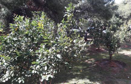 Amazing Apartment - Photo 35