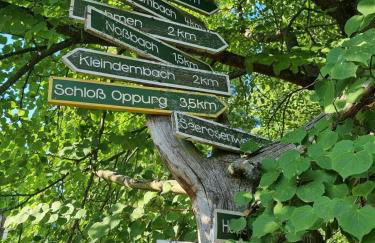 Wunderschöne Ferienwohnung in Thüringen - Foto 30