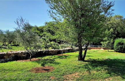 Holiday House Vela Vrta - Foto 48