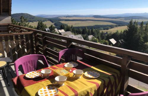 Lama-Gîte-des-Puys T3 Lamadalet, vue sud, terrasse, parking privé - Photo 12